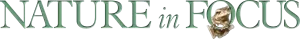 Nature In Focus Logo