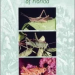 Grasshoppers of Florida by John l Capinera, Clay Whitney Scherer, and Jason Squitier