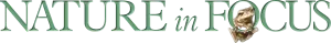 Nature In Focus Logo