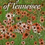 Wildflowers of Tennessee by Jack B. Carman